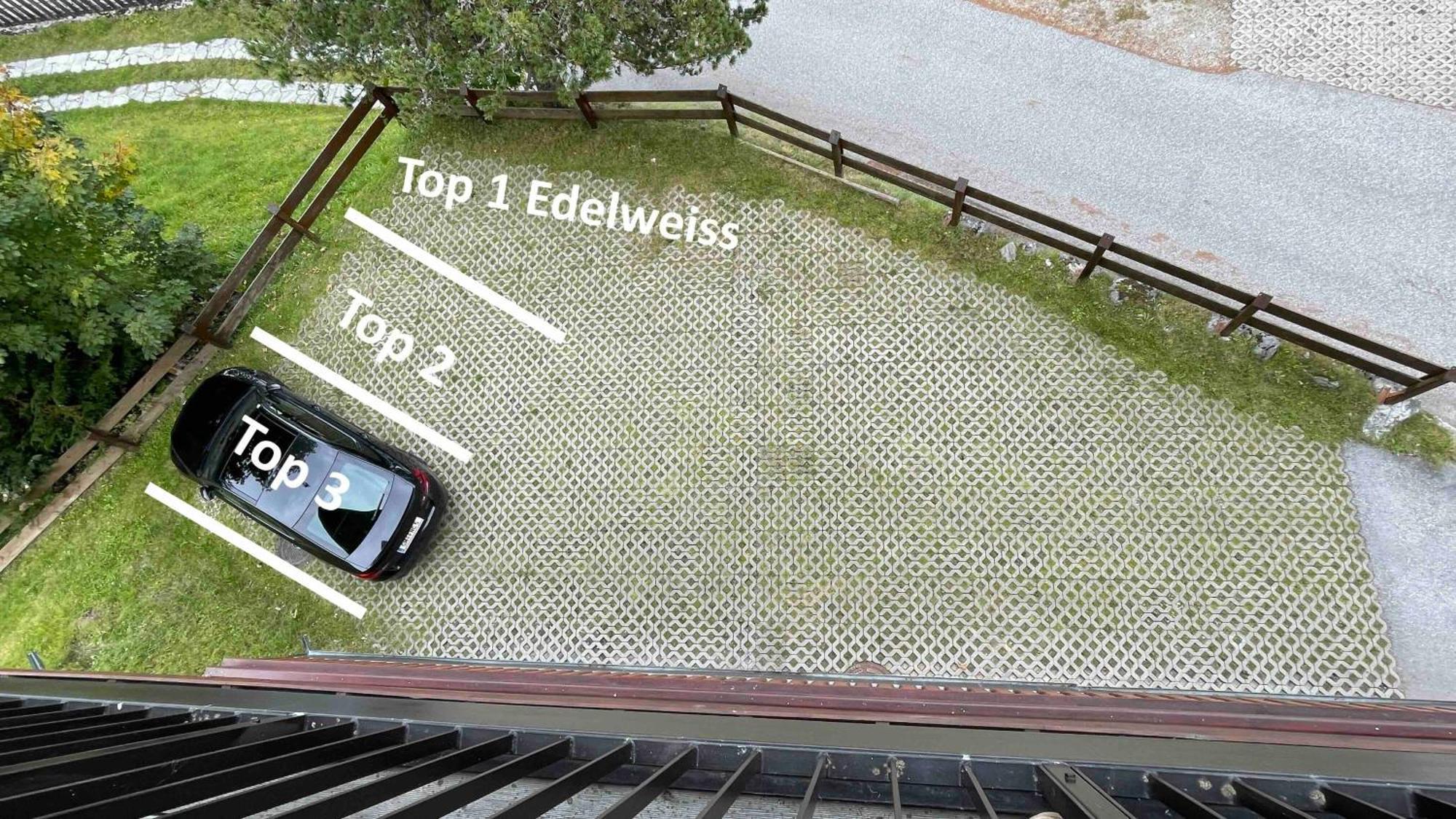 Apartment Edelweiss Jetzt Mit Sommercard Schladming Bagian luar foto